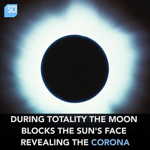 Science Channel on Reels