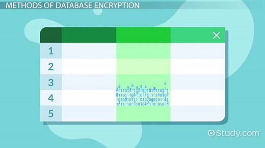 Database Encryption: Techniques & Applications
