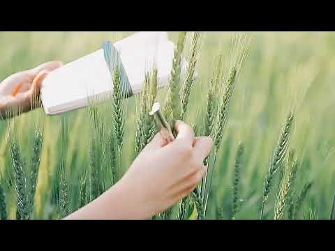 Introduction to Agricultural Science (11 Minutes)