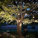 Brightever 100ft Outdoor G40 LED Globe String Lights Dimmable Waterproof Shatterproof Light Strings with 52 Bulbs Connectable Commercial Hanging Lights for Patio House Backyard Balcony