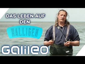 80 Menschen pro Insel - 5 Fakten über das Leben auf den Halligen! | Galileo | ProSieben