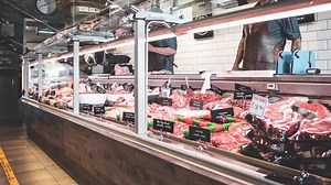 An appeal for information about the inheritance of acquired behaviour patterns in dogs, cats, horses and other animals. | Rupert Sheldrake