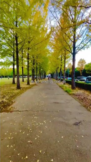 Indians in Japan 🇮🇳🇯🇵 | Travel, Family & Daily Life Vlogs