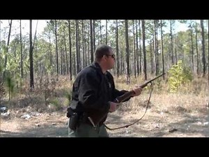 Ruger M77 in 375 Ruger