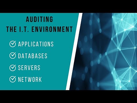 IT Audit Testing: IT Environment Components