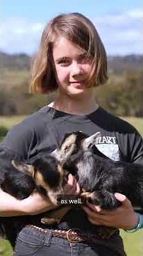 Meet this 11-year-old pygmy goat farmer from Cygnet 🐐 | Pets & Animals | ABC Australia