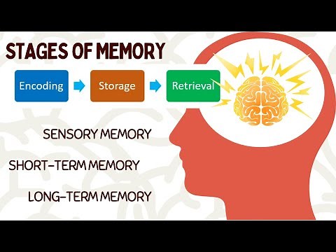 WHAT IS MEMORY || STAGES AND PROCESSES IN MEMORY || ENCODING, SHORT-TERM & LONG-TERM MEMORY #memory