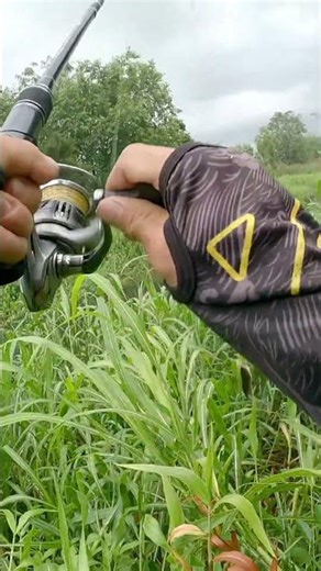 test mòi nhà làm nha mn!