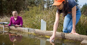Environmental Engineering | College of Engineering