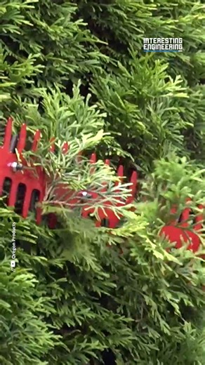 This sweep will have your yard clear in no time. | Interesting Engineering