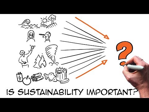Why is sustainability important? A tip to explain it