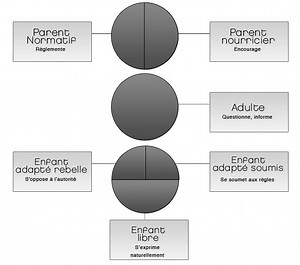 Analyse transactionnelle et les Etats du Moi