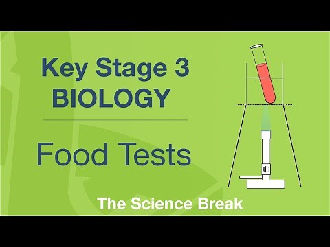 Key Stage 3 Science (Biology) - Food Tests