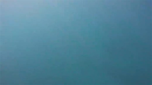 Blue Heron Bridge Dive Club on Reels