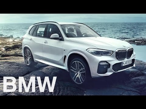 The BMW X5 (2018).