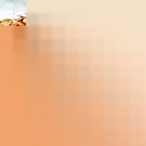 Get the most delicious pizza delivered to your door for $0! Order any large pizza with up to 2 toppings for just $10 on our Wegmans Meals 2GO app — FREE delivery! | Wegmans