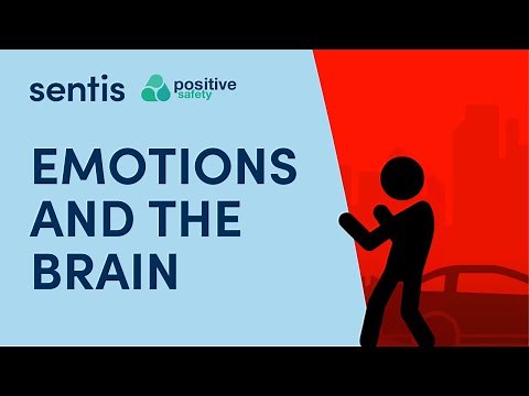 Emotions and the Brain