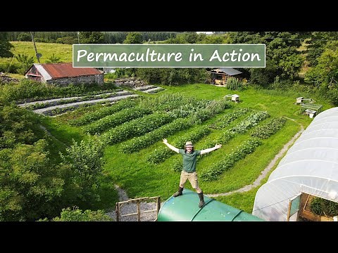 Permaculture in Action | The 12 Principles Demonstrated