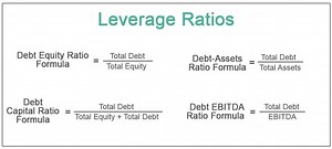 Leverage Ratios - Meaning, Types, Calculation, Examples
