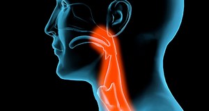 Home treatment may be all that is needed for a sore throat. Tips to help you feel better: | WebMD