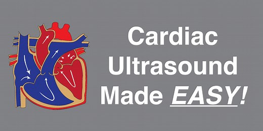 Cardiac Ultrasound (Echocardiography) Made Easy: Step-By-Step Guide - POCUS 101