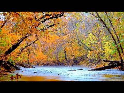4 hours of peaceful, relaxing, nature instrumental music by Tim Janis