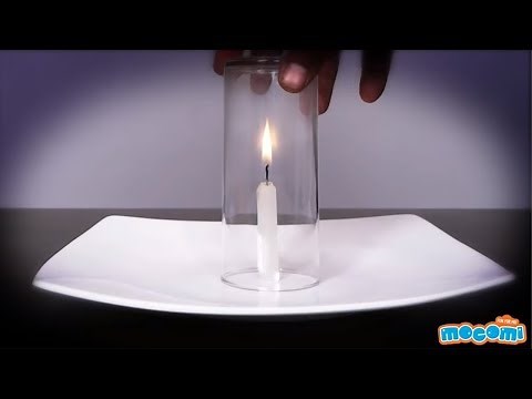 Glass and Candle Experiment - Science Projects for Kids | Educational Videos by Mocomi