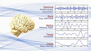 Brainwaves in Neurofeedback UNDERSTANDING THE BRAINWAVES IN NEUROFEEDBACK
