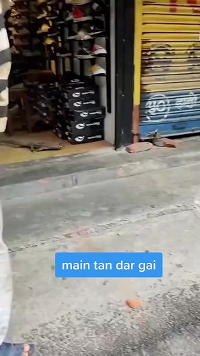 Lizard Sightings on Urban Streets: A Unique Perspective