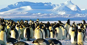 Interesting Careers That Combine Biology and Mathematics