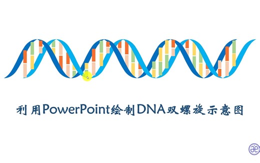 【四方居士】Powerpoint绘制DNA双螺旋示意图