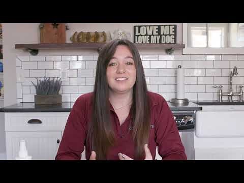 Dog Club Training 5 - How To Have Safe Interactions Between Your Puppy And Your Children