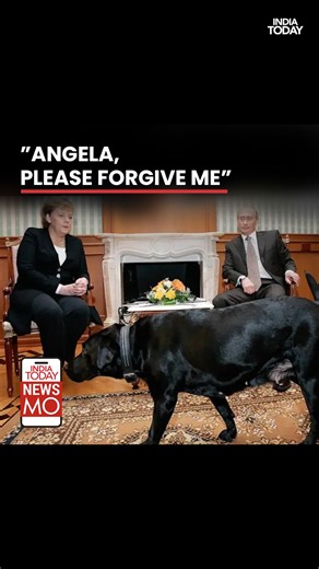 In her memoir, Angela Merkel called Putin’s 2007 move to bring his Labrador into a meeting a deliberate “demonstration of power,” sparking fresh debate. At a recent press conference, Putin denied the claim, apologizing for any discomfort caused. #Putin #Merkel #Diplomacy #LabradorIncident #PutinApology #AngelaMerkel #Politics #NewsMo #IndiaToday | India Today