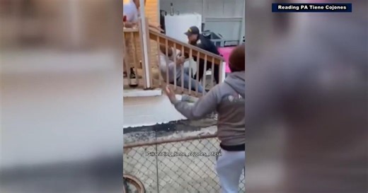 Reading Police Department to investigate video showing use of force