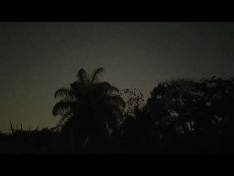 Ornette Coleman Quartet, plus Primetime, San Francisco (1994)